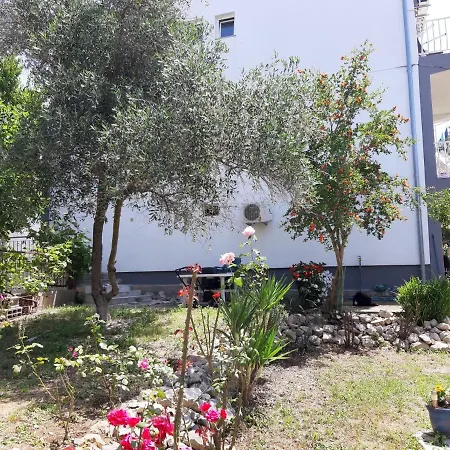 Suzana Sindija * Bibinje