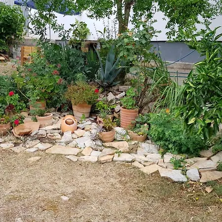 Suzana Sindija Lejlighed *